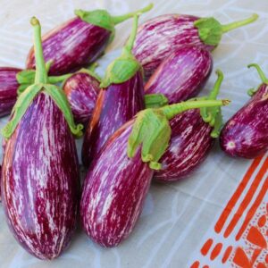 Патладжан много продуктивен сорт Рания F1 - Eggplant Rania