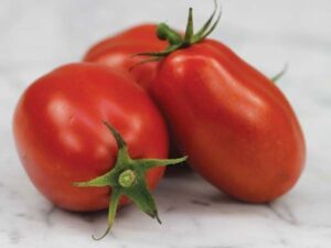 Домат Рома най-подходящ за консерви лютеници и пюре - Tomato Roma