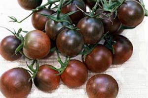 Домат черно чери антиоксидант по скалата за сладост 8 5-9 пункта - Tomato black cherry