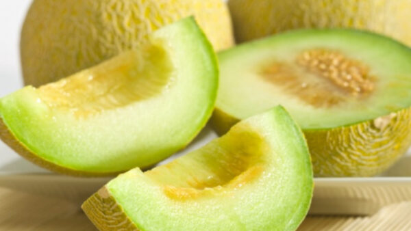 Пъпеш старинен медена роса сладък и богат на витамини - Melon Honey Dew