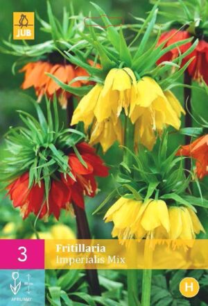 Фритилария империалис против къртици смес 2 броя - Fritillaria imperialis