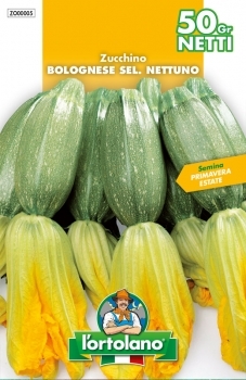 Тиквичка цукини старинен сорт много ранен храстовиден 55-60 дни - Zucchini Bolonese