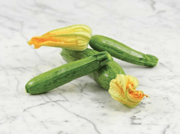 Тиквичка ранна зимоустойчива - Squash zucchini nimba