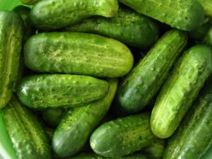 Корнишон за кисели краставички - Cucumber Levina