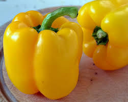Пипер сладък жълт превъзходен за пълнене - Pepper quadrato dasti yellow