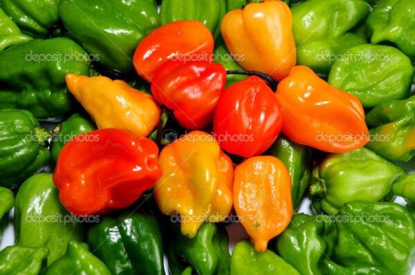Пипер за ценители най - лютият сорт Хабанеро жълт червен или оранжев - Pepper hot Habanero