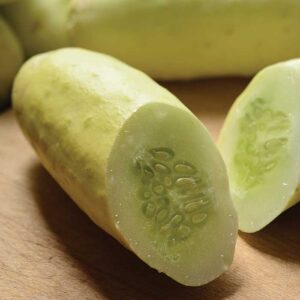 Краставица старинна бяла и сладка салатна устойчива на суша - Cucumber Martini
