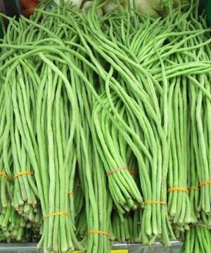 Фасул аспержов не е GMO без конци с дължина 50-60 см високо продуктивен - Yardlong beans