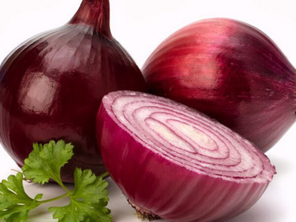 Лук червен воден много сладък подходящ и най-добър за салати - Onion Tropea rossa