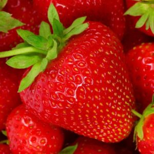 Ягода ранна Елсанта най - ароматна и едроплодна - Strawberry Elsanta Fragaria