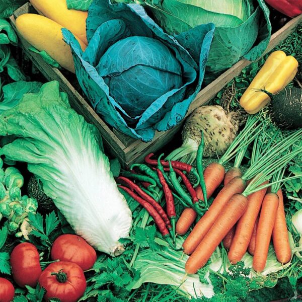 Уникален био тор предпазващ плодовете и зеленчуците от нитрати с незабавно действие - Concime liquido biologico universale