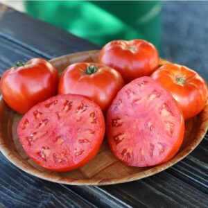 Домат устойчив на болести с тегло 450 грама без зелен пръстен - Tomato Califfo F1