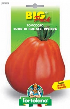 Домат Сърцето на Албенга с най-превъзходния вкус профи семена - Tomato Coeur de Albenga selection Riviera