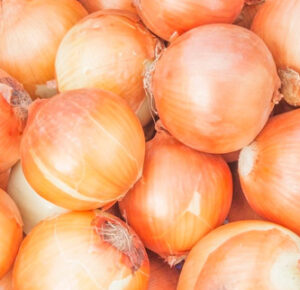 Семена професионални за жълт сорт лук Доренка със срок на съхранение 5-6 месеца - Onion Dorenka f1