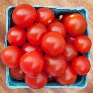 Чери домат Бинго 35-40 грама ранен сладък и с превъзходен вкус - Tomato Bingo