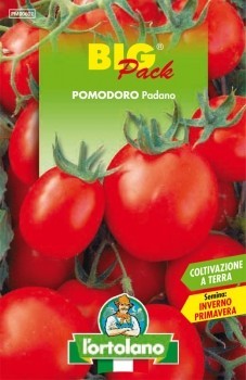 Домат Падано без семки без колове 90 дни вегетация не е ГМО кръгъл сорт домат - Tomato Padano