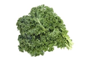 Кейл къдраво листно зеле богато на витамини средновисоко - Kale halbhoher grüner krauser