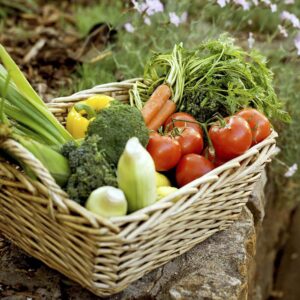 Еко био тор безвреден за здравето за плодове и зеленчуци - Concime biologico per orto