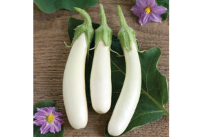 Патладжан награден сорт изключително полезен и сладък Гретел - Eggplant Gretel