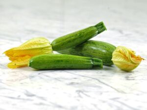 Тиквичка ранна зимоустойчива - Squash zucchini nimba