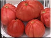 Най-сладкият и едроплоден домат с вегетация 70-75 дни и без семки не е ГМО - Tomato Red pear
