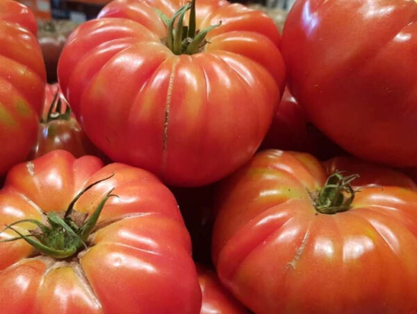 Домат старинен кулинарна звезда във Франция безколов може и в саксия 900 семена - Tomato Marmande