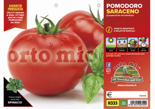 Домат розов салатен 250-300 грама без зелен пръстен устойчив на болести - Tomato Saraceno f1