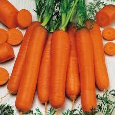 Морков Берликум - Carrot Berlicum