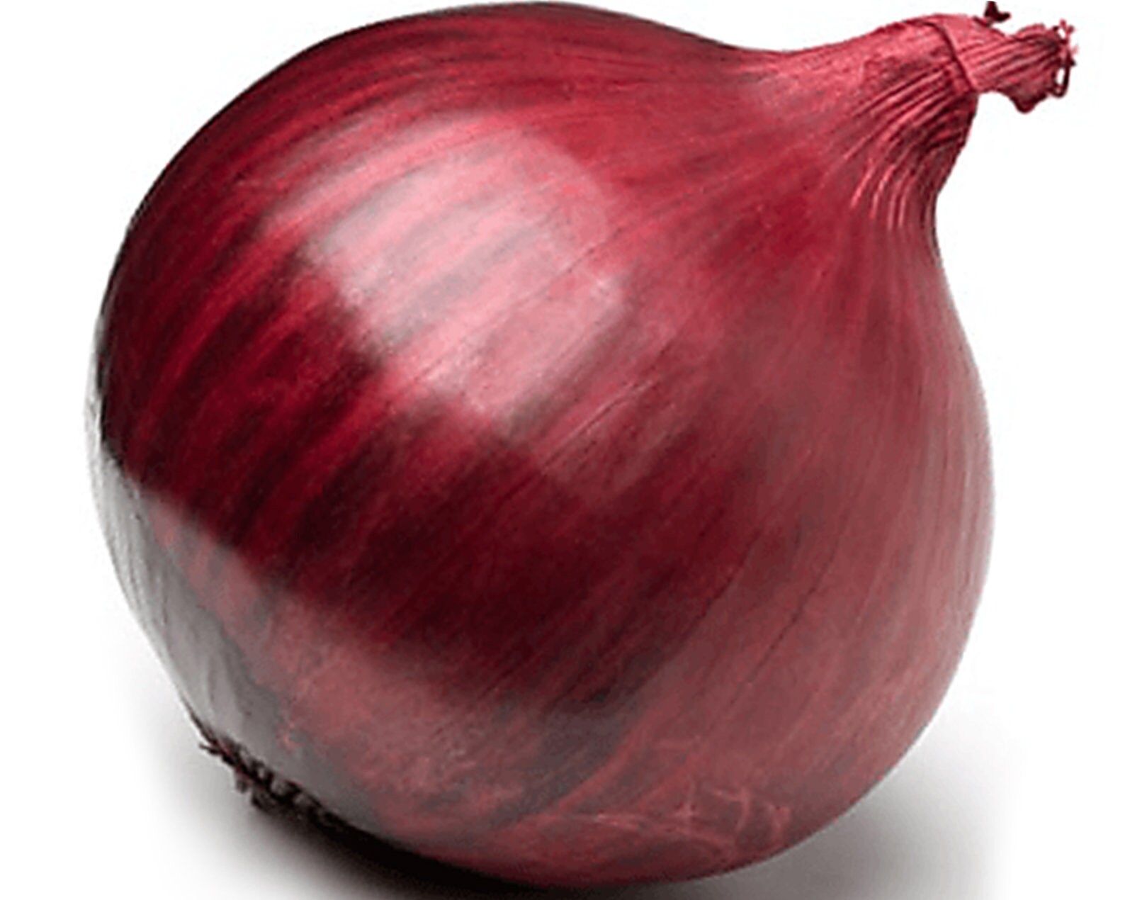 Лук средно ранен устойчив на съхранение 3-4 месеца - Onion Red Globe sel.Padana