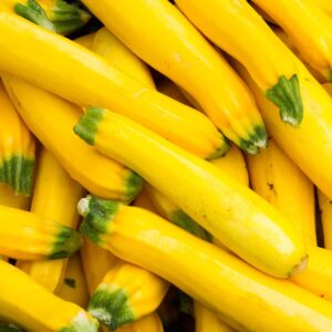 Тиквичка жълта за готвене много родовита, вкусна и полезна - Squash marrow yellow Тиквичка жълта за готвене много родовита, вкусна и полезна - Squash marrow yellow